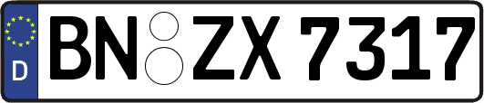 BN-ZX7317