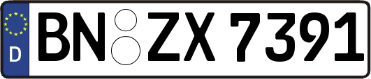 BN-ZX7391