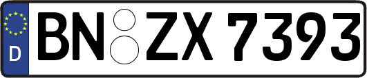 BN-ZX7393