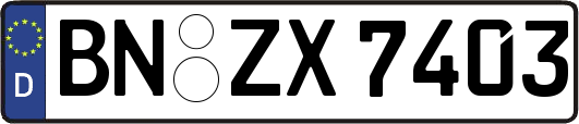BN-ZX7403