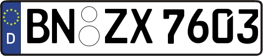 BN-ZX7603