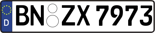 BN-ZX7973