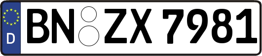 BN-ZX7981
