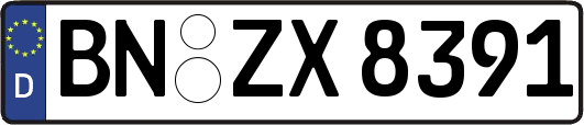 BN-ZX8391