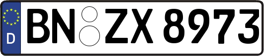 BN-ZX8973