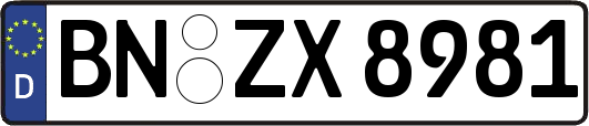 BN-ZX8981