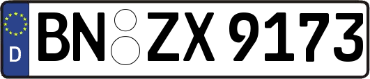 BN-ZX9173