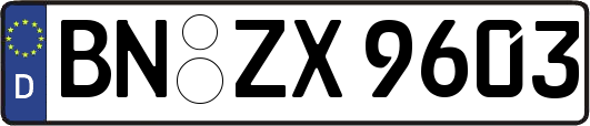 BN-ZX9603
