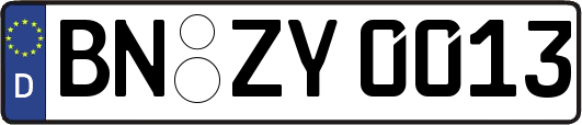 BN-ZY0013