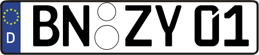 BN-ZY01