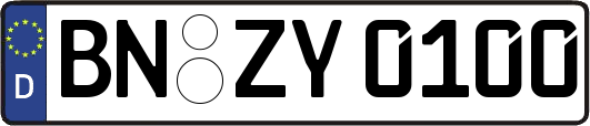 BN-ZY0100