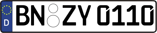 BN-ZY0110