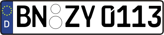 BN-ZY0113
