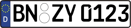 BN-ZY0123