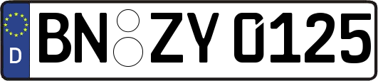 BN-ZY0125