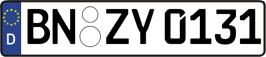 BN-ZY0131