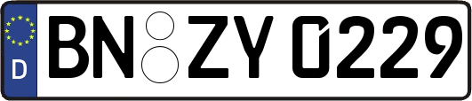 BN-ZY0229