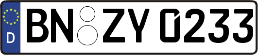 BN-ZY0233