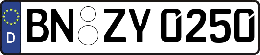 BN-ZY0250