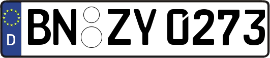 BN-ZY0273