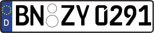 BN-ZY0291