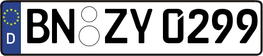 BN-ZY0299
