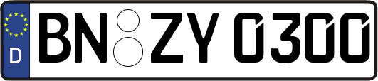 BN-ZY0300