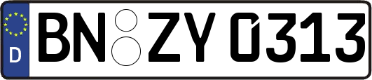 BN-ZY0313