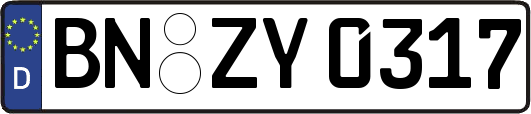 BN-ZY0317