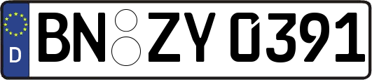 BN-ZY0391