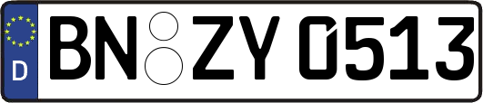 BN-ZY0513