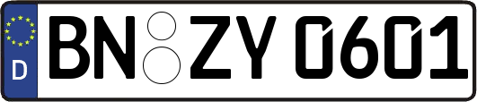 BN-ZY0601