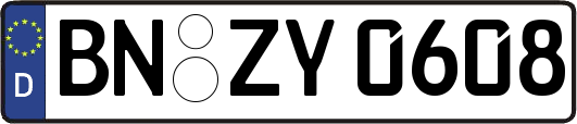 BN-ZY0608