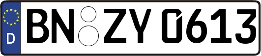 BN-ZY0613
