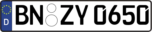 BN-ZY0650