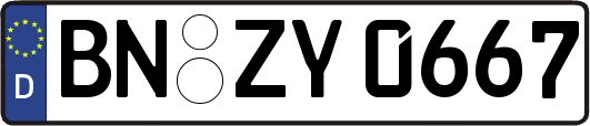 BN-ZY0667