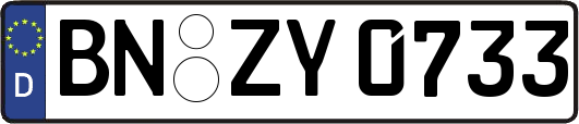BN-ZY0733