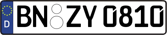 BN-ZY0810