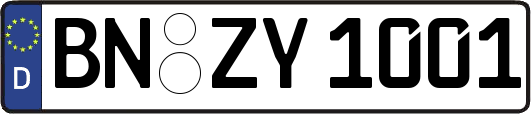 BN-ZY1001