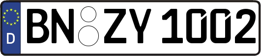 BN-ZY1002