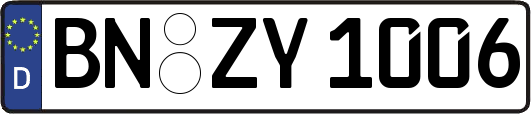 BN-ZY1006