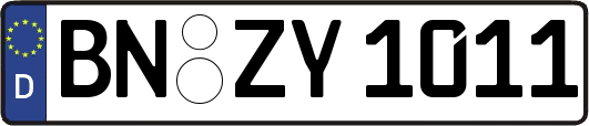 BN-ZY1011