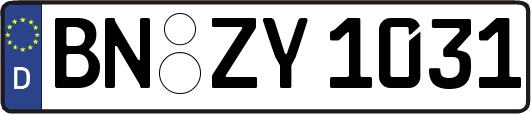 BN-ZY1031