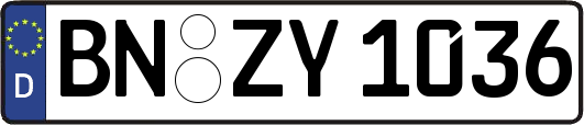 BN-ZY1036