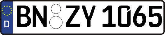 BN-ZY1065