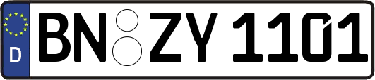 BN-ZY1101