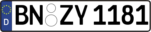 BN-ZY1181