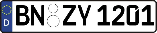 BN-ZY1201