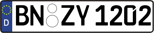 BN-ZY1202