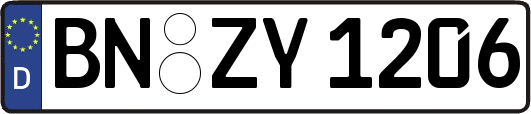 BN-ZY1206
